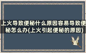 上火导致便秘什么原因容易导致便秘怎么办(上火引起便秘的原因)