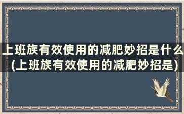 上班族有效使用的减肥妙招是什么(上班族有效使用的减肥妙招是)