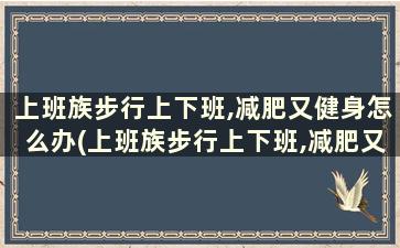 上班族步行上下班,减肥又健身怎么办(上班族步行上下班,减肥又健身好吗)