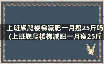 上班族爬楼梯减肥一月瘦25斤吗(上班族爬楼梯减肥一月瘦25斤可以吗)