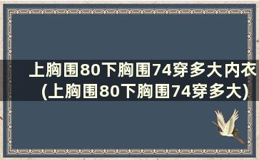 上胸围80下胸围74穿多大内衣(上胸围80下胸围74穿多大)