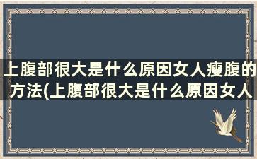 上腹部很大是什么原因女人瘦腹的方法(上腹部很大是什么原因女人瘦腹的方法)