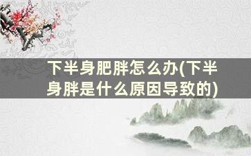 下半身肥胖怎么办(下半身胖是什么原因导致的)