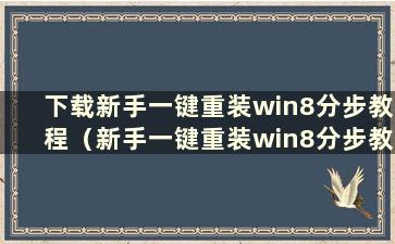 下载新手一键重装win8分步教程（新手一键重装win8分步教程图解）