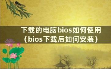 下载的电脑bios如何使用（bios下载后如何安装）