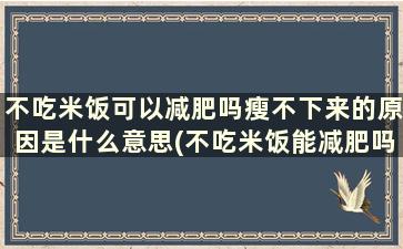 不吃米饭可以减肥吗瘦不下来的原因是什么意思(不吃米饭能减肥吗)