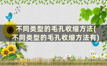 不同类型的毛孔收缩方法(不同类型的毛孔收缩方法有)