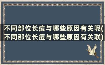 不同部位长痘与哪些原因有关呢(不同部位长痘与哪些原因有关联)