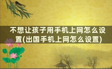 不想让孩子用手机上网怎么设置(出国手机上网怎么设置)