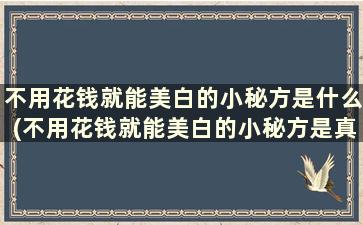 不用花钱就能美白的小秘方是什么(不用花钱就能美白的小秘方是真的吗)