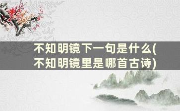 不知明镜下一句是什么(不知明镜里是哪首古诗)