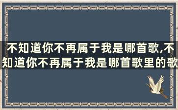 不知道你不再属于我是哪首歌,不知道你不再属于我是哪首歌里的歌词