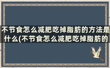 不节食怎么减肥吃掉脂肪的方法是什么(不节食怎么减肥吃掉脂肪的方法)