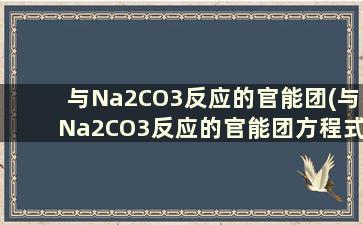 与Na2CO3反应的官能团(与Na2CO3反应的官能团方程式)