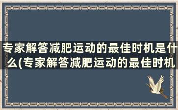 专家解答减肥运动的最佳时机是什么(专家解答减肥运动的最佳时机)