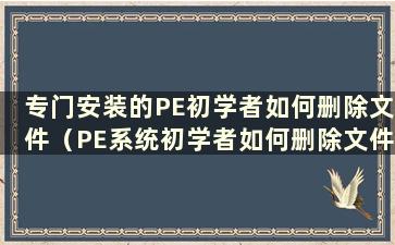 专门安装的PE初学者如何删除文件（PE系统初学者如何删除文件）