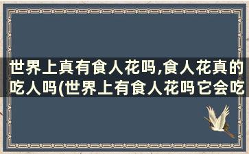 世界上真有食人花吗,食人花真的吃人吗(世界上有食人花吗它会吃人吗)