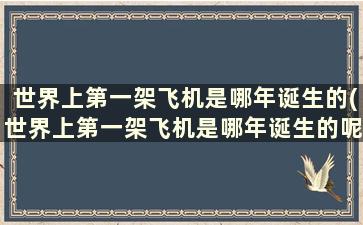 世界上第一架飞机是哪年诞生的(世界上第一架飞机是哪年诞生的呢)