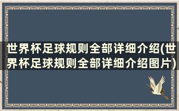 世界杯足球规则全部详细介绍(世界杯足球规则全部详细介绍图片)