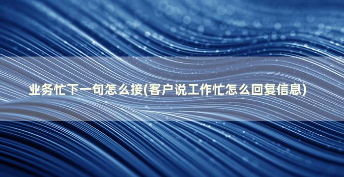 业务忙下一句怎么接(客户说工作忙怎么回复信息)