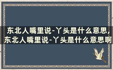 东北人嘴里说-丫头是什么意思,东北人嘴里说-丫头是什么意思啊