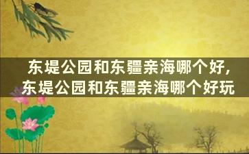 东堤公园和东疆亲海哪个好,东堤公园和东疆亲海哪个好玩