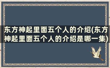 东方神起里面五个人的介绍(东方神起里面五个人的介绍是哪一集)