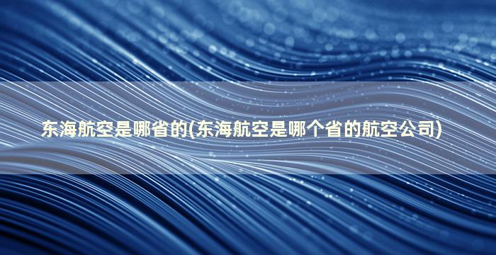 东海航空是哪省的(东海航空是哪个省的航空公司)