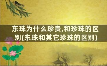 东珠为什么珍贵,和珍珠的区别(东珠和其它珍珠的区别)