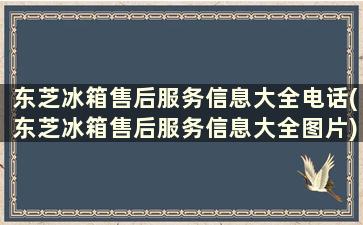 东芝冰箱售后服务信息大全电话(东芝冰箱售后服务信息大全图片)