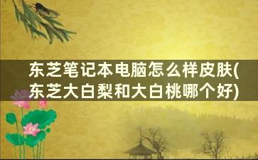 东芝笔记本电脑怎么样皮肤(东芝大白梨和大白桃哪个好)