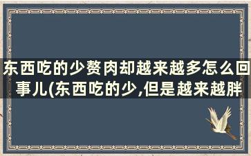 东西吃的少赘肉却越来越多怎么回事儿(东西吃的少,但是越来越胖)