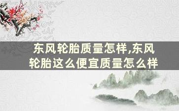 东风轮胎质量怎样,东风轮胎这么便宜质量怎么样