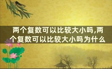 两个复数可以比较大小吗,两个复数可以比较大小吗为什么