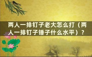 两人一排钉子老大怎么打（两人一排钉子锤子什么水平）？