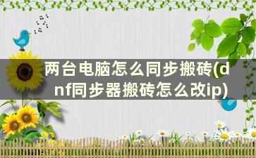 两台电脑怎么同步搬砖(dnf同步器搬砖怎么改ip)