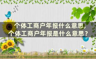 个体工商户年报什么意思,个体工商户年报是什么意思？