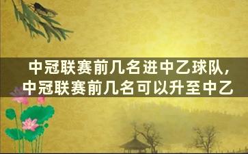 中冠联赛前几名进中乙球队,中冠联赛前几名可以升至中乙