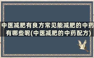 中医减肥有良方常见能减肥的中药有哪些呢(中医减肥的中药配方)