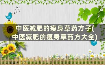 中医减肥的瘦身草药方子(中医减肥的瘦身草药方大全)