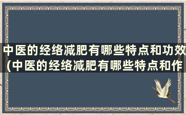 中医的经络减肥有哪些特点和功效(中医的经络减肥有哪些特点和作用)