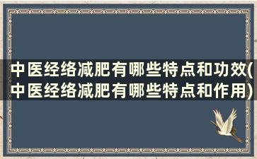 中医经络减肥有哪些特点和功效(中医经络减肥有哪些特点和作用)