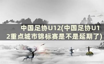 中国足协U12(中国足协U12重点城市锦标赛是不是延期了)