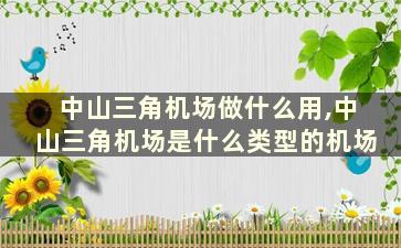 中山三角机场做什么用,中山三角机场是什么类型的机场