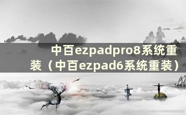 中百ezpadpro8系统重装（中百ezpad6系统重装）