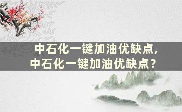 中石化一键加油优缺点,中石化一键加油优缺点？