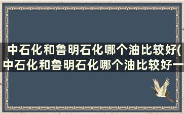 中石化和鲁明石化哪个油比较好(中石化和鲁明石化哪个油比较好一点)