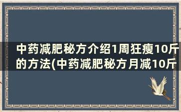 中药减肥秘方介绍1周狂瘦10斤的方法(中药减肥秘方月减10斤)