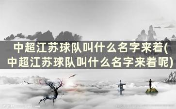 中超江苏球队叫什么名字来着(中超江苏球队叫什么名字来着呢)