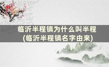 临沂半程镇为什么叫半程(临沂半程镇名字由来)